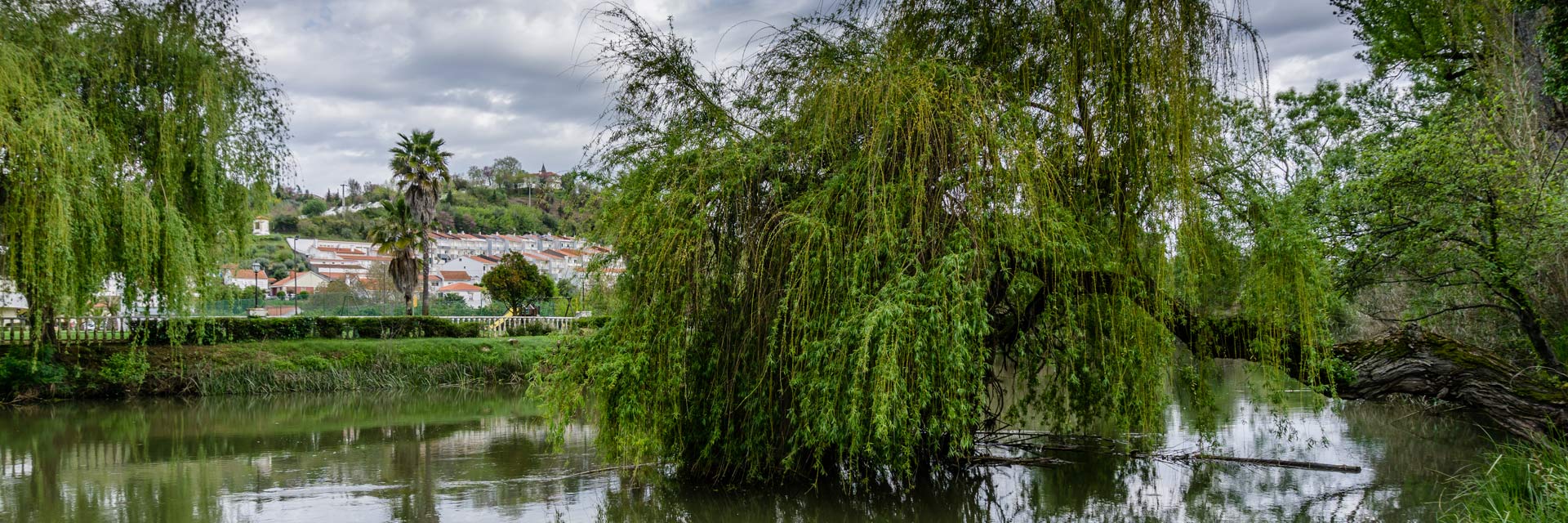 Rio Nabão com vegetação e árvores à beira-rio.