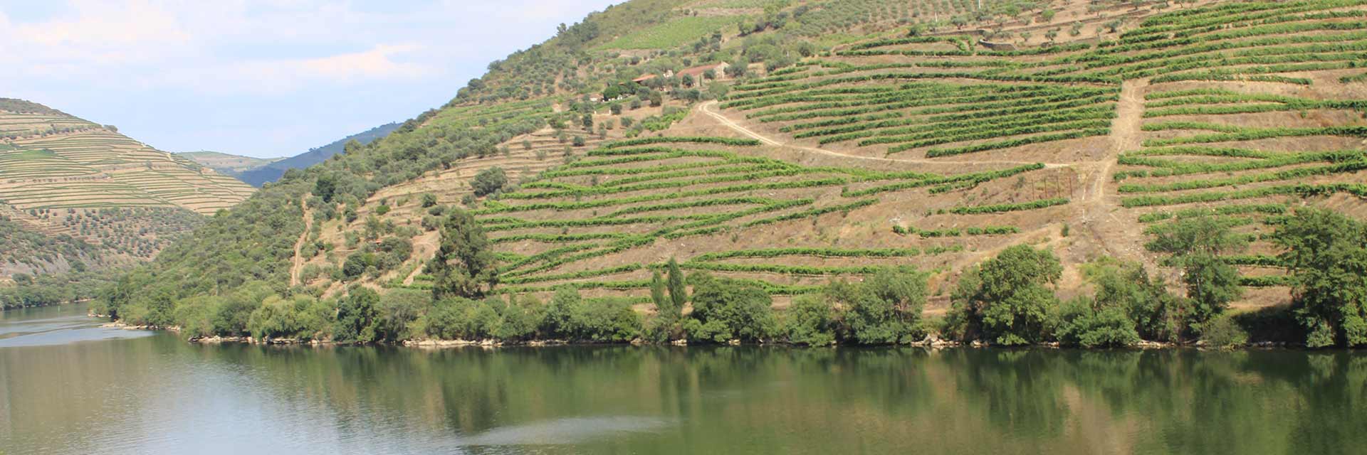 Paisagem vista da janela do comboio com o Rio Douro e os socalcos.