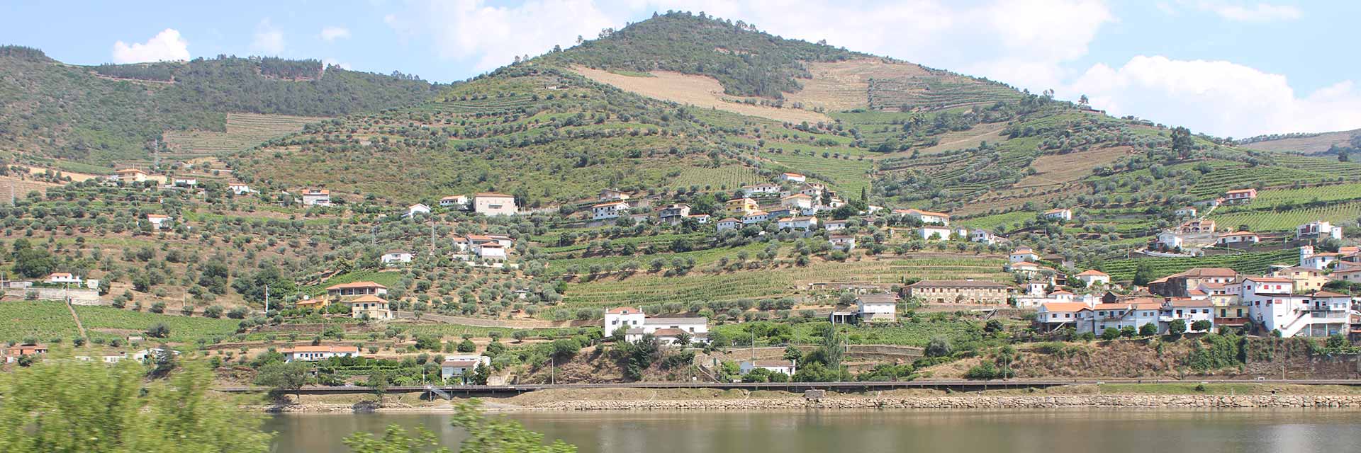 Vista da janela do comboio de uma localidade com várias casas nas encostas, na outra margem.