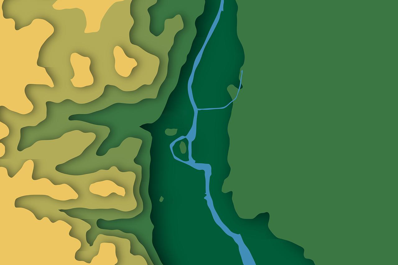 Imagem com grafismo em tons de verde, amarelo e azul.