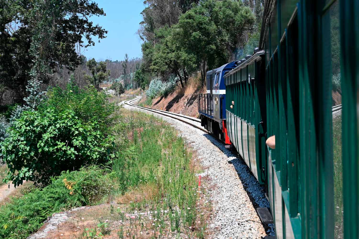 Locomotiva e carruagens do Comboio Histórico do Vouga a circular na Linha do Vouga.