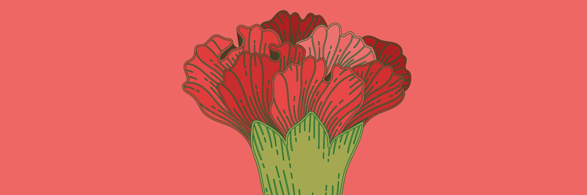 Desenho de uma cravo em vermelho e verde, sobre um fundo rosa salmão.